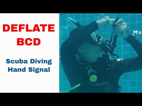 Deflate Your BCD Sign - Scuba Diving Hand Signal