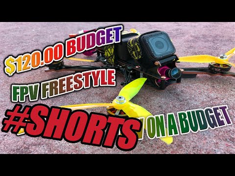 How To Build a PRO FPV Freestyle Drone for ONLY $120 #shorts