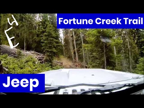 Climbing Fortune Creek Trail in Jeep Wrangler Unlimited Rubicon