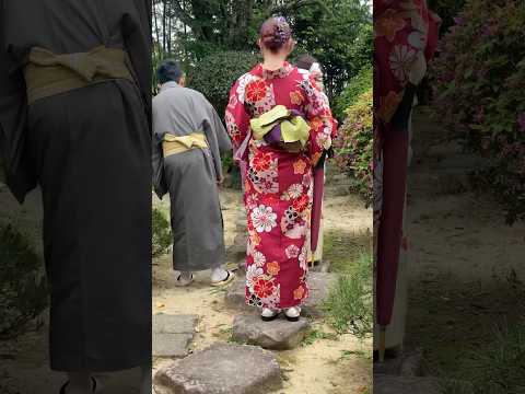 Pretty girls spotted in kimono