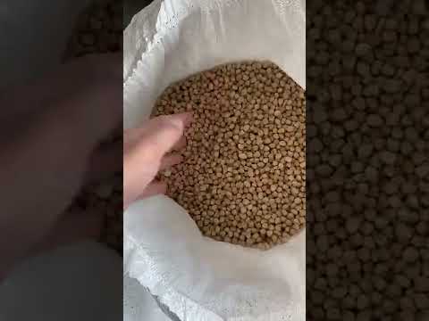 Kabuli Chickpeas From KGCPL