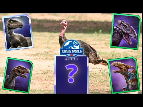 Raptor Week or TURKEY week? This week in JWA