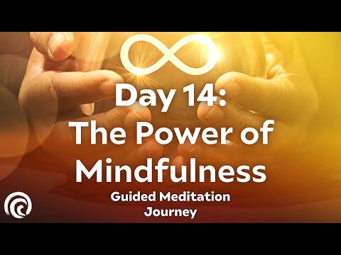 Day 14: Embrace the Present | 30-Day Meditation Series for Mindfulness & Awareness