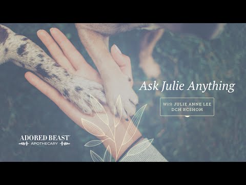 Ask Julie Anything - September Q & A Session