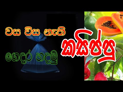 කසිප්පු ගෙදර හදමු | Home Made Kasippu | By Ataya