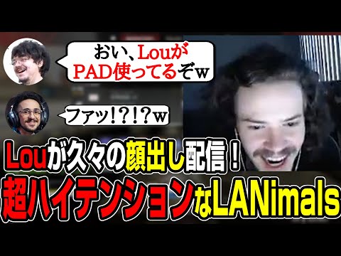 【Apex翻訳】Louが顔出し配信！超ハイテンションなLANimals【まとめぺくす】