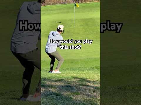 How would you play this shot?