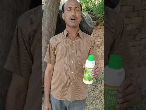 079 Farmer from Kanpur Nagar | Uttar Pradesh | Nano Urea Testimonial