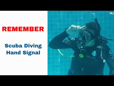 Remember - Scuba Diving Hand Signal