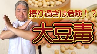 【摂り過ぎ注意！】大豆毒の危険性