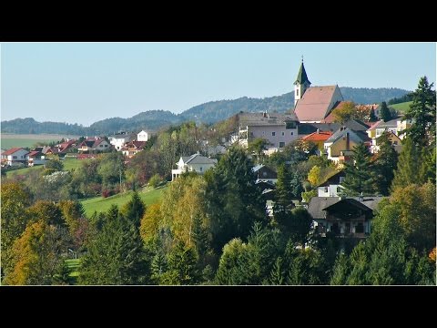 Interview mit Dalibor Truhlar, "Bad Kreuzen: Wo Flüchtlinge ankommen"