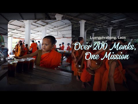 Giving Back in Memory of My Father: Temple That Feeds, Shelters, and Teaches Over 200 Monks