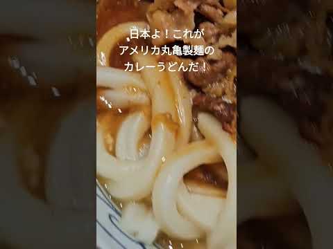 アメリカの丸亀製麺でカレーうどんを食べた！ #アメリカ生活 #丸亀製麺