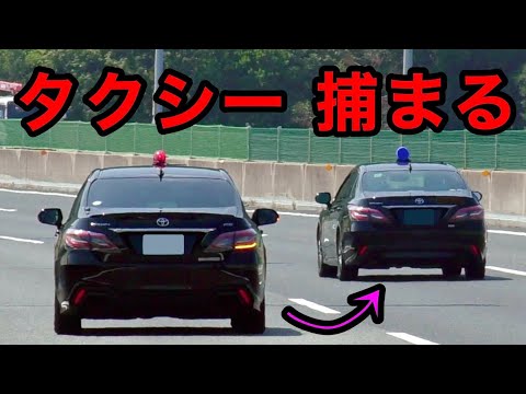 【プロドライバーが...】覆面パトカーがタクシーを捕まえる瞬間‼️　[警察 取り締まり 高速道路 220系]