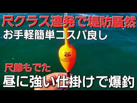 季節外れのデカアジ連発に堤防騒然。あれに食う！アジングいやアジ釣りです【浮きサビキ釣り】