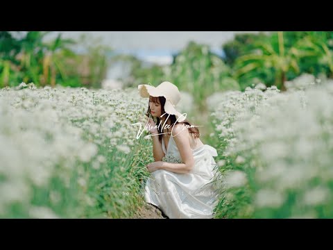 Sony FE 85mm f/1.4 GM II ｜實拍素材大溪韭菜花田｜ 4K 120fps Cinematic Footage ｜小甜筒影像制作