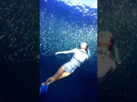 a mermaid dive into a school of fish #mermaid #freediving #snorkeling #okinawaisland #人魚 #フリーダイビング