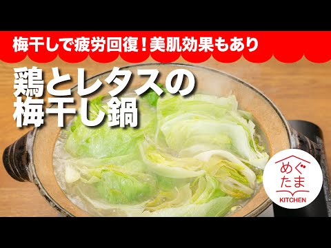 鶏とレタスの梅干し鍋／梅干しで疲労回復！美肌効果もあり／めぐたまキッチン３３