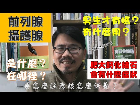 前列腺 攝護腺 肥大 發炎 鈣化 結石 排尿困難 流速變慢 尿液變細 有殘尿感 症狀 注意 怎麼保養 在哪裡 有什麼功能 病變 腫大 攝護腺癌 指檢 超音波 鈣化點 鈣化斑 憋尿 忍尿 尿急 夜尿