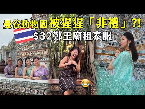 🇹🇭爆笑!!😂曼谷動物園被紅毛猩猩非禮?!🦧 $32鄭王廟租泰服cp值超高!! | 黎明寺 | Safari World | Safari Park | Hoiching愷晴