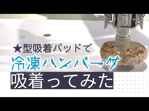 【吸着ってみた】冷凍ハンバーグ【コンバム】