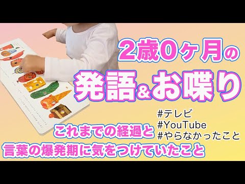 【2歳の発語＆おしゃべり】発語期に気をつけていたことと、これまでの言葉の成長記録