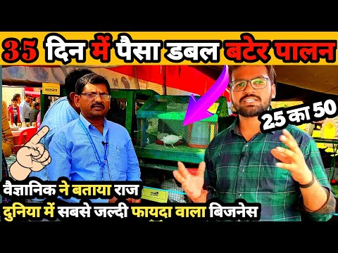 बटेर पालन कैसे करें | quail farming | bater palan in bihar | बटेर पालन की जानकारी | Bater farming