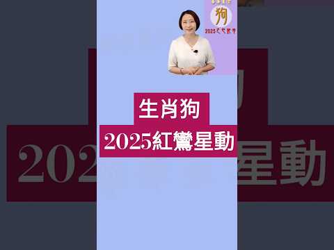 #生肖狗 #2025紅鸞星動 #生肖屬狗2025運勢 #2025乙巳蛇年 #2025流年九宮飛星 #2025住家風水佈局 #生肖狗2025運勢 #狗2025 #十二生肖2025運勢 #熱門 #分享