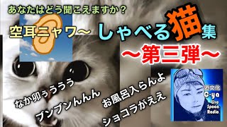 しゃべる猫集〜第三弾〜2020.2.14