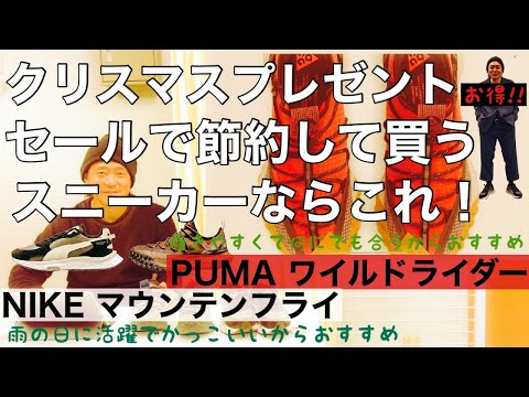 クリスマスプレゼント節約して買う 普段使いおすすめスニーカー2足！!