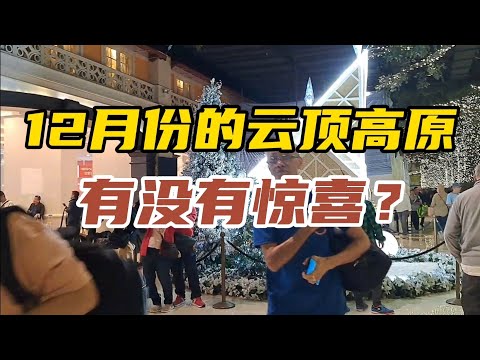 12月份的云顶高原，除了圣诞装饰，还有很多新年活动，大家有来参与吗？