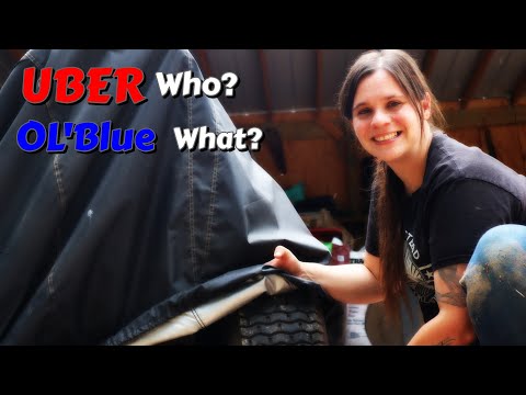 Our new TRACTOR is going to save us! | Rabbit / Chicken Grow out Build! | DIY | Shed To Cabin