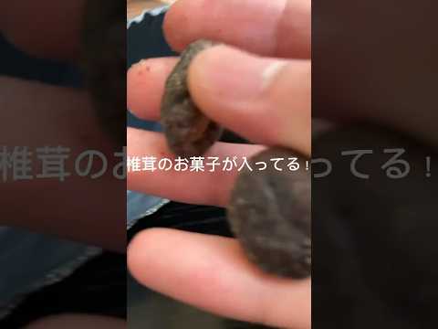 ドンキのお菓子が美味すぎる！椎茸のお菓子