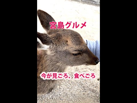 秋の宮島グルメ