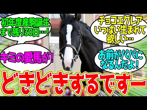 イクイノックス、ついにパパになる…に対するみんなの反応！【競馬 の反応集】