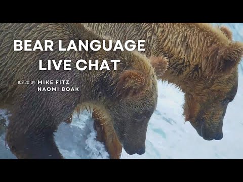 Bear Language | Brooks Live Chat