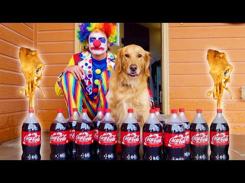 Funny Clown Pranks Sammie with Coca Cola and Mentos