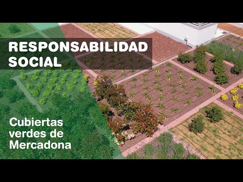 Cubiertas verdes de Mercadona