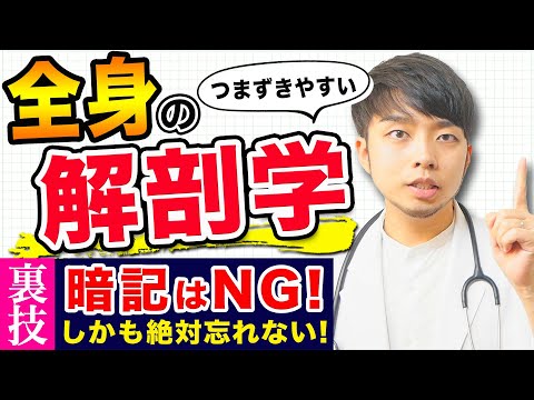 【解剖学】解剖学の勉強を始める前に見てほしい。解剖学は暗記じゃなく、このやり方で勉強すると、効率よく学習できます！