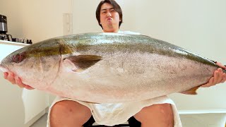 Got the biggest 【Yellowtail】 in the Kimagure Cook.