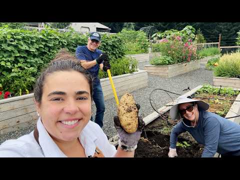 One of Our Favorite Days of the YEAR! Potato Harvest!