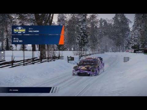 WRC Generations – The FIA WRC Official Game_20241213084204