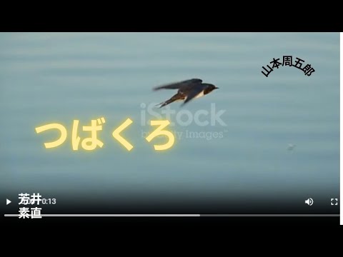 【朗読】つばくろ   山本周五郎作　朗読　芳井素直