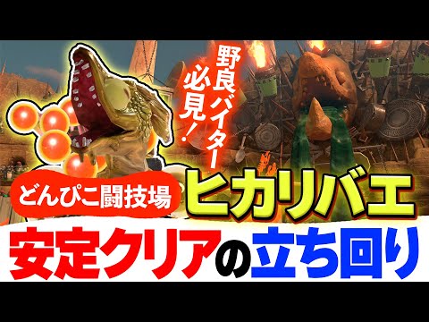 【サーモンランNW】どんぴこ闘技場の野良ヒカリバエ完全攻略法【スプラトゥーン3】