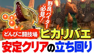 【サーモンランNW】どんぴこ闘技場の野良ヒカリバエ完全攻略法【スプラトゥーン3】