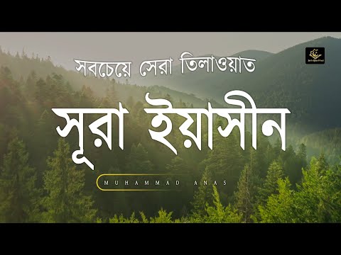 Best Recitation of Surah YASIN in 2024 | সূরা ইয়াসীন سورة يس । Muhammad Anas