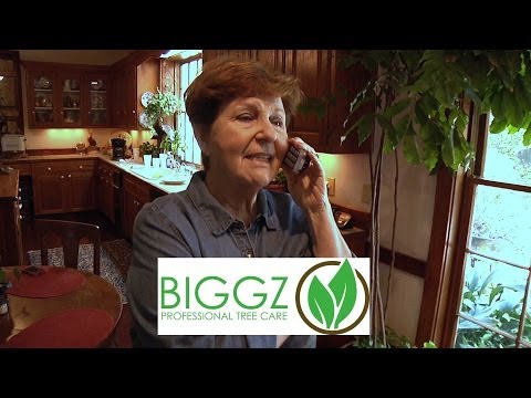 BIGGZ Tree Care - taking care of Lady Pat.