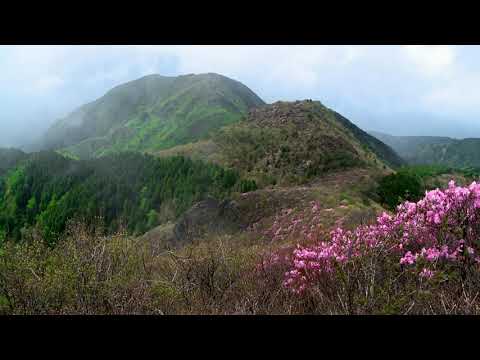 西赤石の山肌