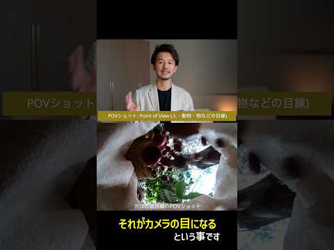 動画のインパクトを爆上げ！POVショットについて　【Point of View shot】　#動画の撮り方 #動画撮影