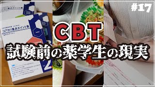 【Vlog】CBT前の薬学生が過ごす地獄の日々 | 勉強漬け | コアカリ | 不安 |  #17